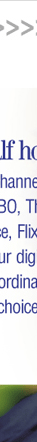 direct mail design for cable one